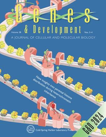 G&D cover